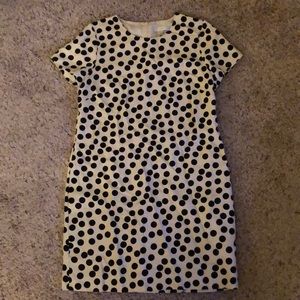 JCrew polka dot dress